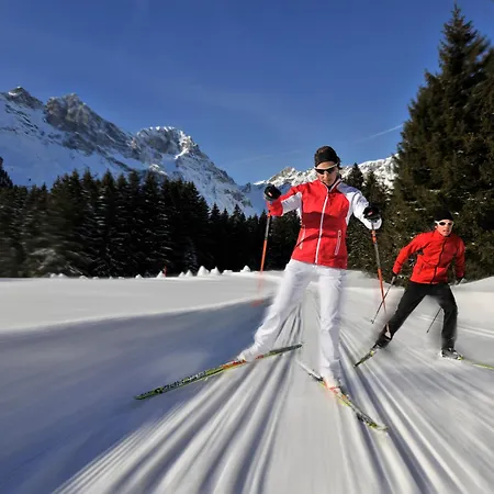 Hotel Waldegg - Adults Only Engelberg