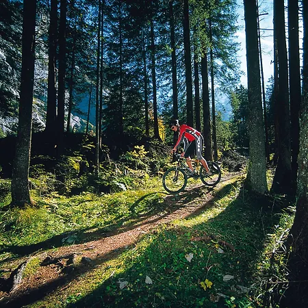 Waldegg - Adults Only