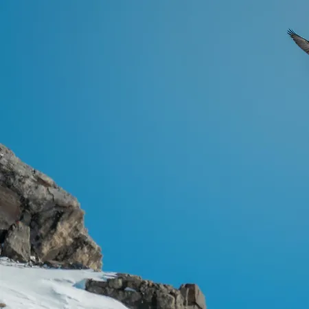 Hotel Waldegg - Adults Only 4*