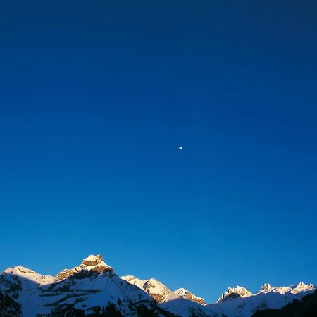 Waldegg - Adults Only Hotel Engelberg