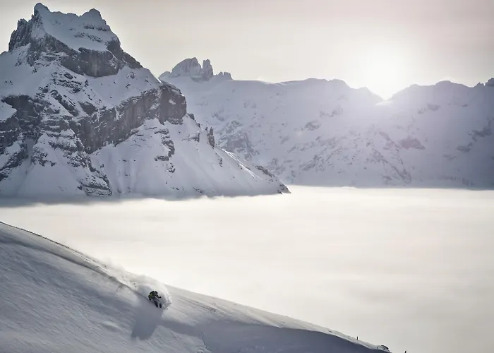 Waldegg - Adults Only