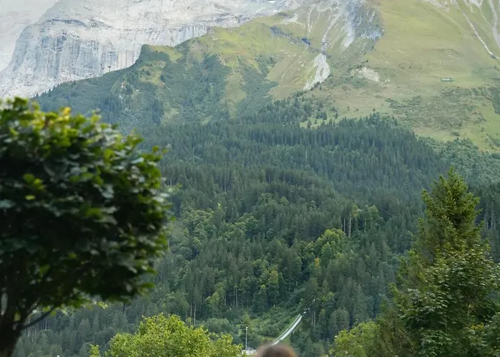 Hotel Waldegg - Adults Only Engelberg