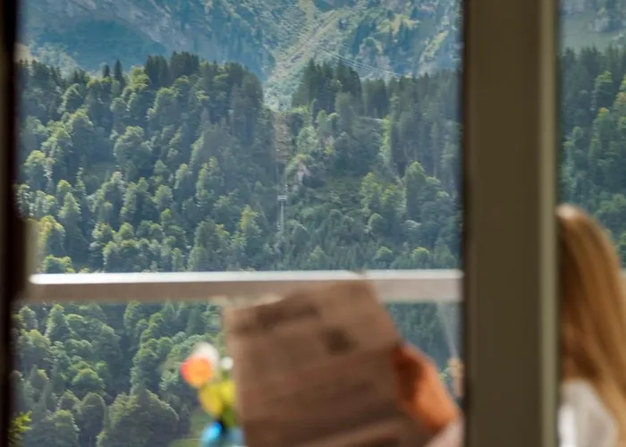 Hotel Waldegg - Adults Only Engelberg