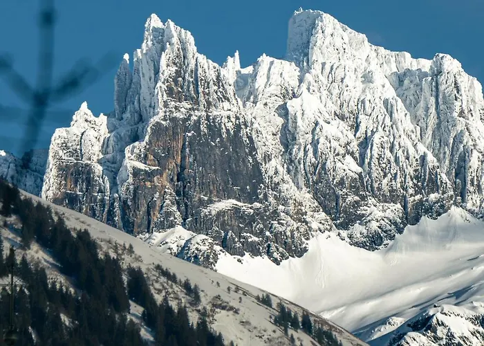 Hotel Waldegg - Adults Only