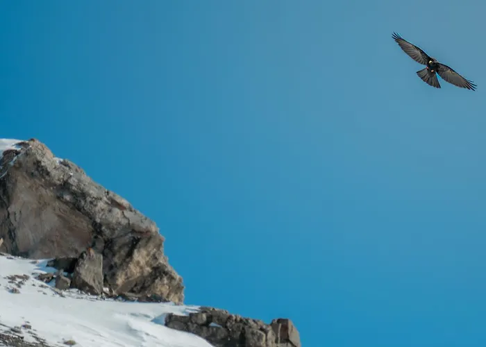 Hotel Waldegg - Adults Only 4*