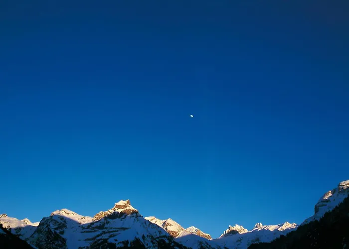 Waldegg - Adults Only Hotel Engelberg